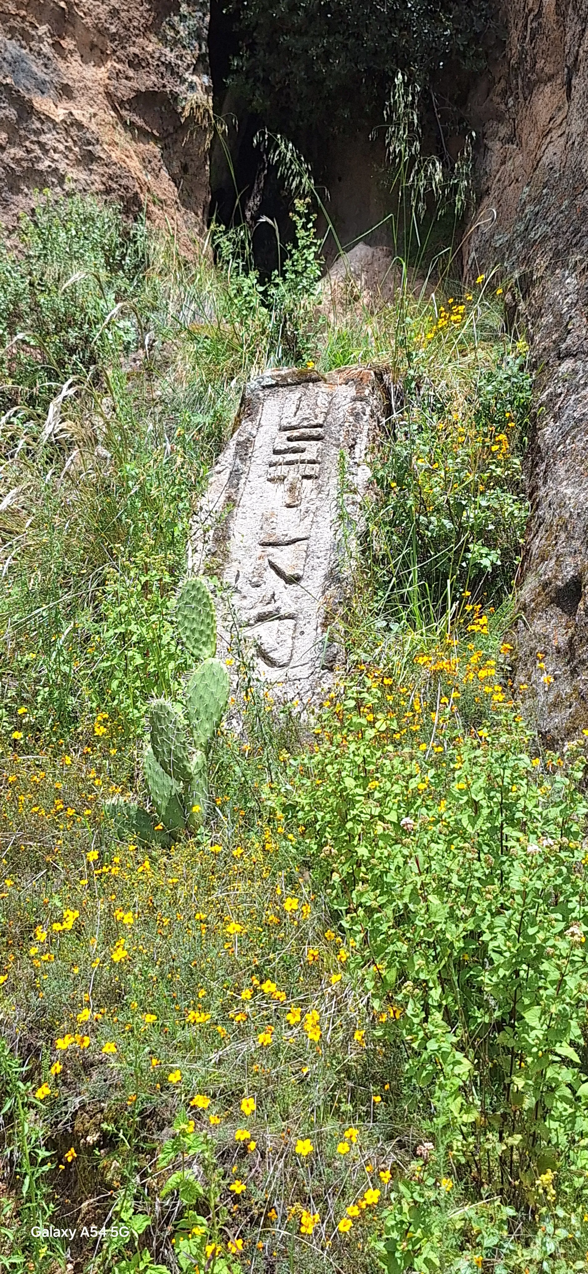 Detalle del tallado en la roca ceremonial de Hatun Rumi: hoyos, canaletas y superficie labrada usada para sacrificios y ofrendas en el Complejo de Allpas